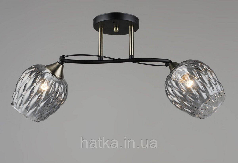 Люстра стельова Sirius B C1717/2 на 2 плафони Київ - фото 1