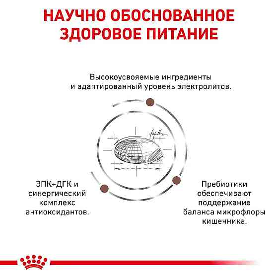 Royal Canin Gastrointistinal Moderate Calorie (Рояв Канін Гастроінтенція Модерет) корм для травлення котів 2 кг. Запоріжжя