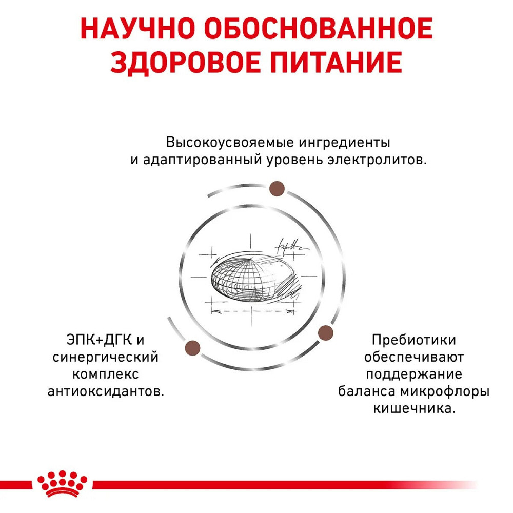 Royal Canin Gastrointistinal Moderate Calorie (Рояв Канін Гастроінтенція Модерет) корм для травлення котів 2 кг. Запоріжжя - фото 3