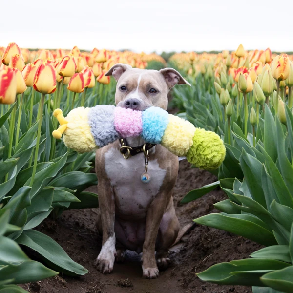 Іграшка для собак Patchwork Pet Caterpillar (Печворк Пет Гусениця) Запоріжжя - фото 7