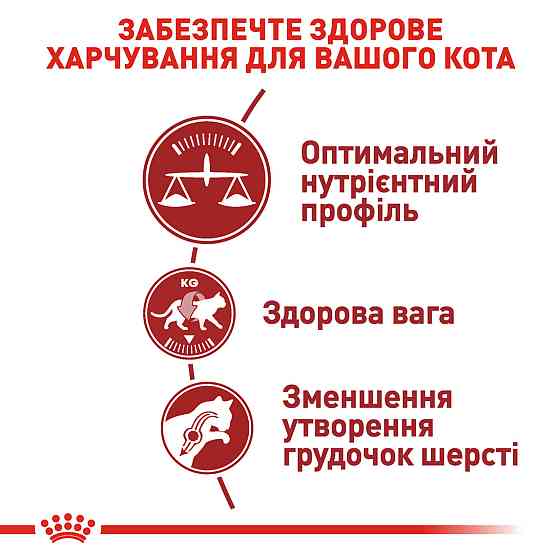 Корм для домашніх і вуличних котів ROYAL CANIN FIT 10.0 кг Київ