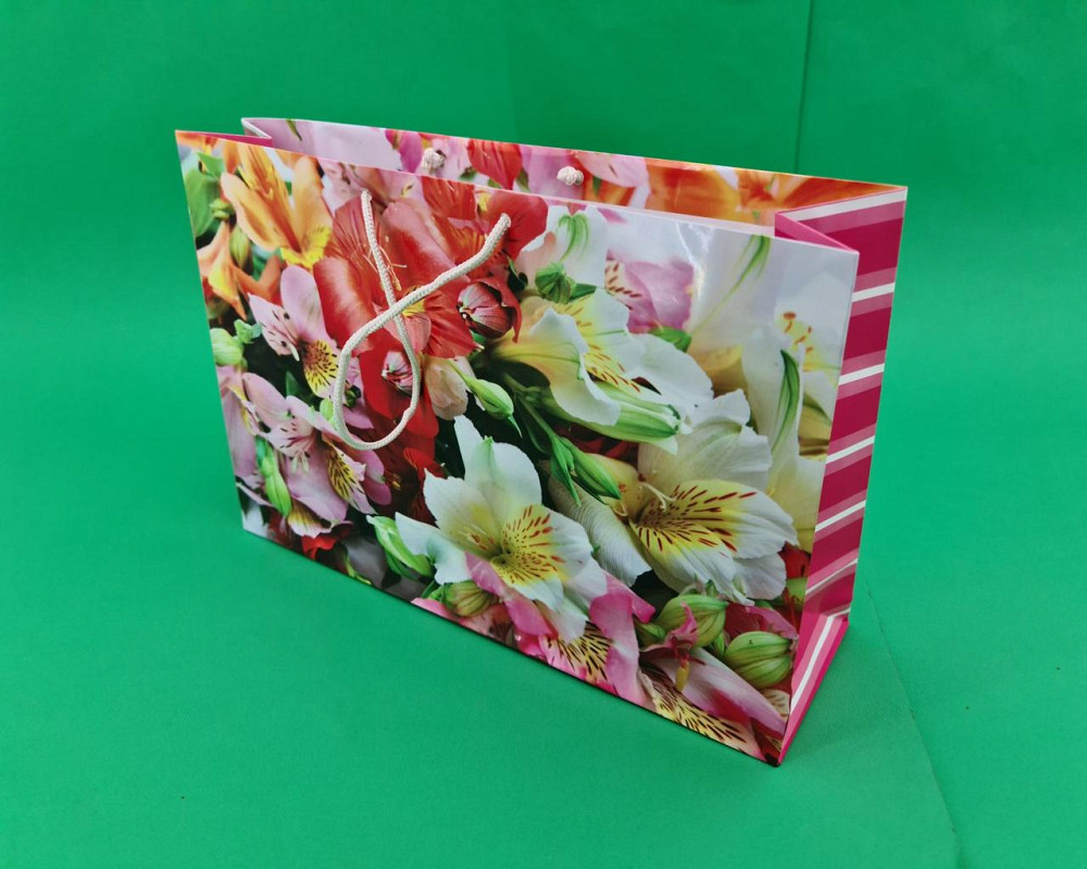 Бумажный большой горизонтальный пакет  36/22/10(артBG-080) (12 шт) Харьков - изображение 1