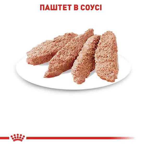 Вологий корм для дорослих котів ROYAL CANIN INSTINCTIVE LOAF 0.085 кг Київ