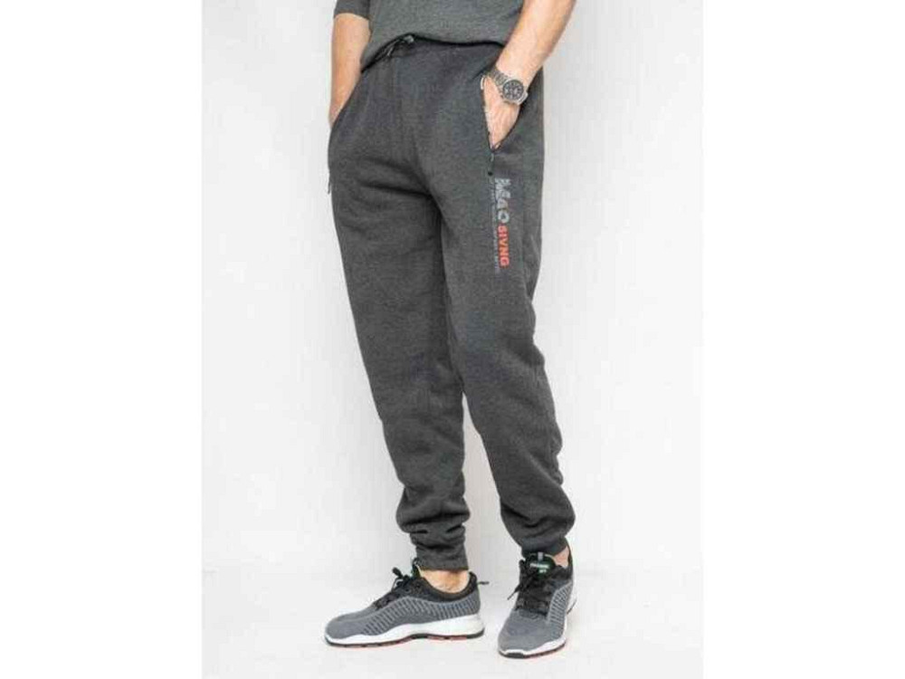 Спортивные штаны серый мужские флис котон арт.P0222-6129_A0G р.XL ТМ NOWEMBER Киев - изображение 1
