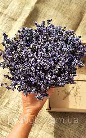 Веточки лаванды для творческих проектов, эстетического оформления товаров, подарков. Ирпень