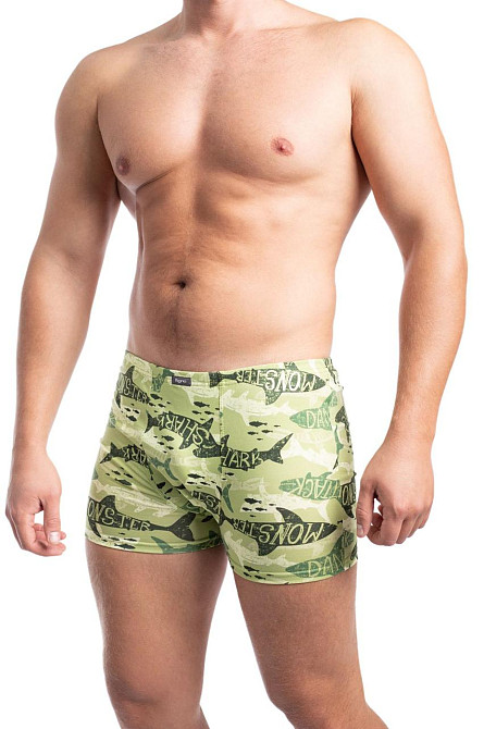 Трусы мужские шорты Bono 950323 50, Кактусы Киев - изображение 3