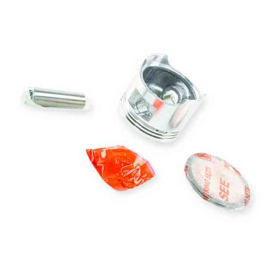 Поршень DELTA ACTIV-110 JD d=52.4 +1,0 комплект Мукачево