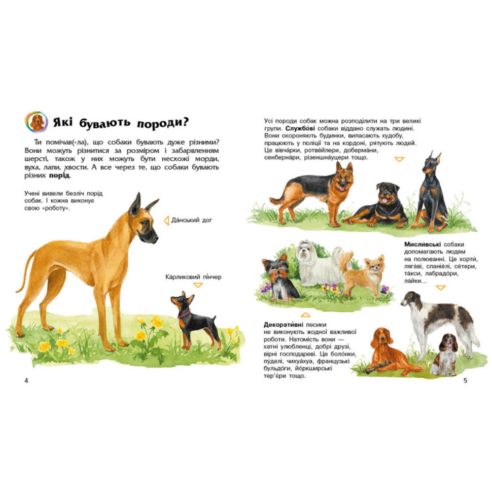 Енциклопедія дошкільника Собаки 614035 для найменших Вінниця - фото 4
