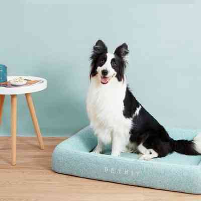 Лежак для тварин Petkit FOUR SEASON PET BED size S-M (NEW) (680473) Вінниця