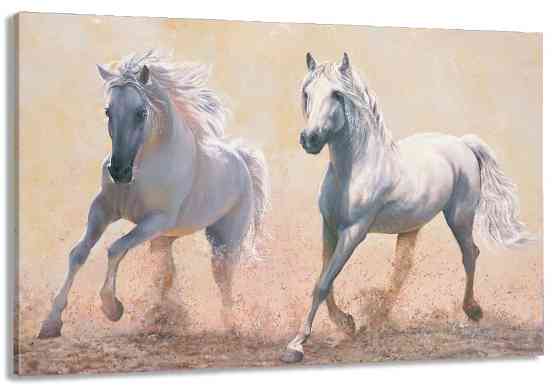 Картина полотно у вітальню / спальню   Пара Коней     MLP_258 ( 60х30см ) 80x120 см Київ