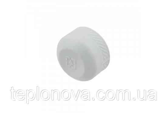 Заглушка PPR ø20 (Полипропилен)  Raftec REC20 Черновцы