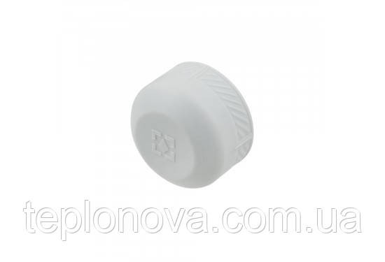 Заглушка PPR ø20 (Полипропилен)  Raftec REC20 Черновцы - изображение 3