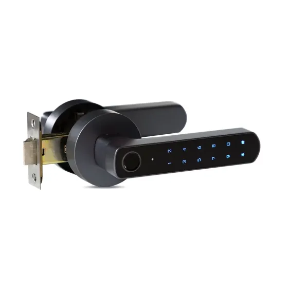 Замок біометричний автономний Trinix TRL-5205BTF Tuya Grey з Bluetooth і зчитувачем відбитків пальців (65-00069) Киев