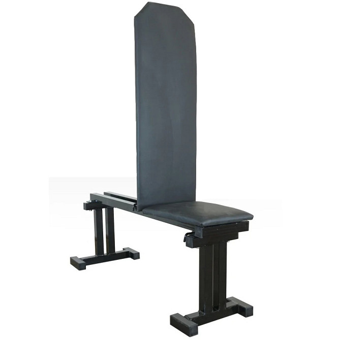 ПРО Лава для жиму лежачи під штангу регульована Київ - фото 2