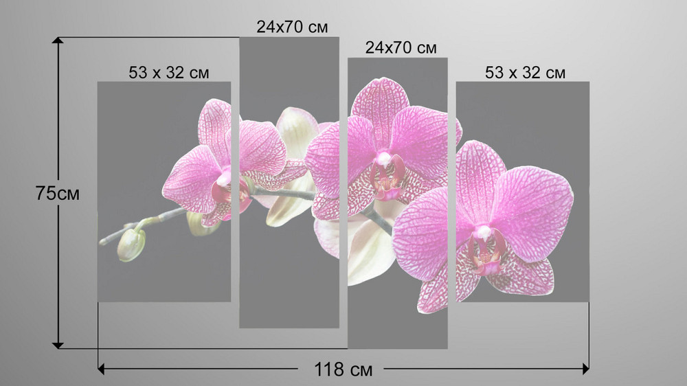 Модульна картина Орхідея Art-92_4 Київ - фото 3