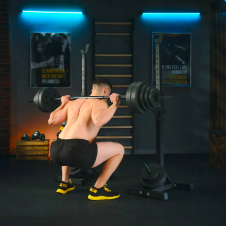 Стійки під штангу Trex Sport TX-090S регульовані Киев