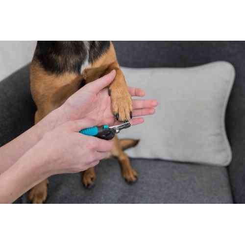 Кігтеріз Trixie Luxe для дрібних домашніх тварин з обмежувачем 12 см Київ