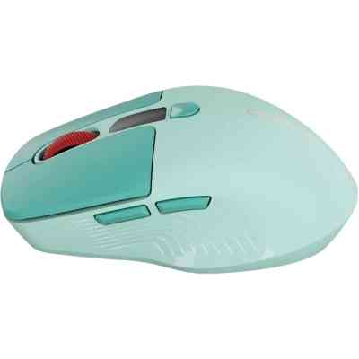 Мишка Canyon MW-26 LCD Silent Wireless/Bluetooth Green (CNS-CMSW26GR) Вінниця