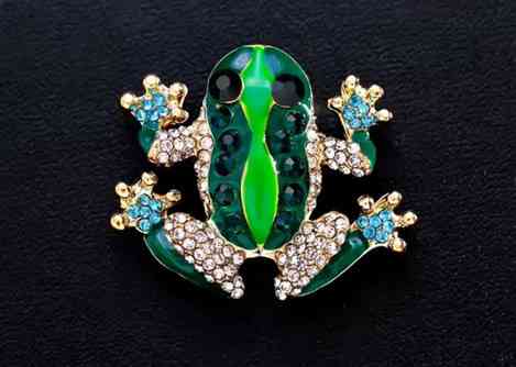 Брошка зі стразами Жаба Київ