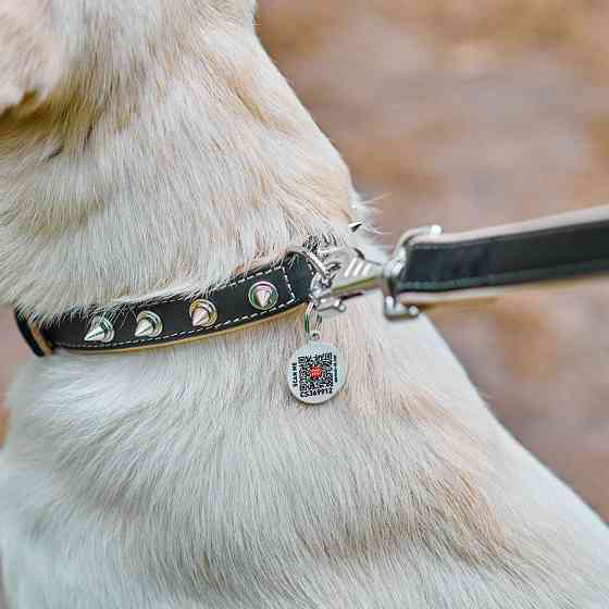 Нашийник для собак шкіряний WAUDOG Soft з QR паспортом, з шипами, Ш 20 мм, Дов 30-39 см чорний Коломыя