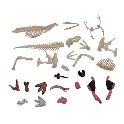 Пазл 4D Master Master Тиранозавр (FM-622013) Винница