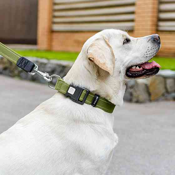Ошейник для собак хлопчатобумажная тесьма CoLLaR Брезент, пластиковый фастекс, M, Ш 25 мм, Длин 33-49 см Киев