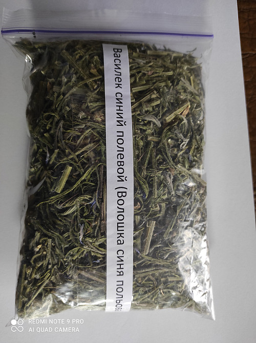 Волошка польова трава (Василек полевой) 100г master sem Киев - изображение 2