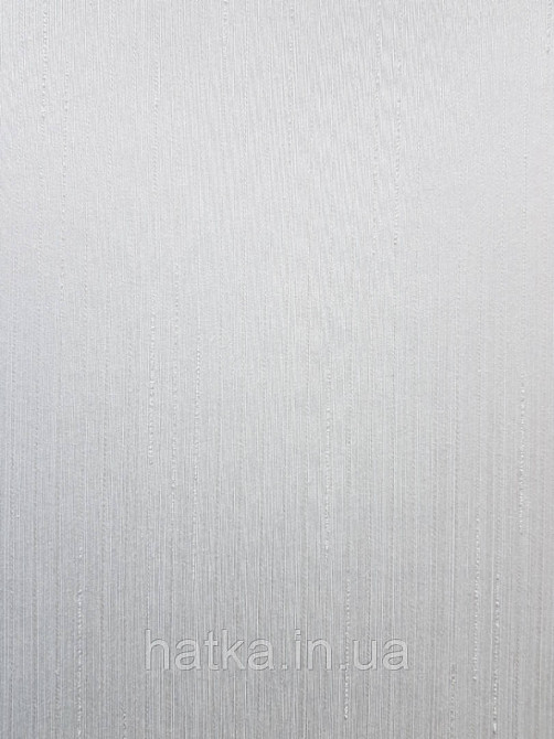 Текстильні шпалери на флізеліновій основі Cador Rasch Textil 077925 однотон під дрібний бамбук білий Київ - фото 2