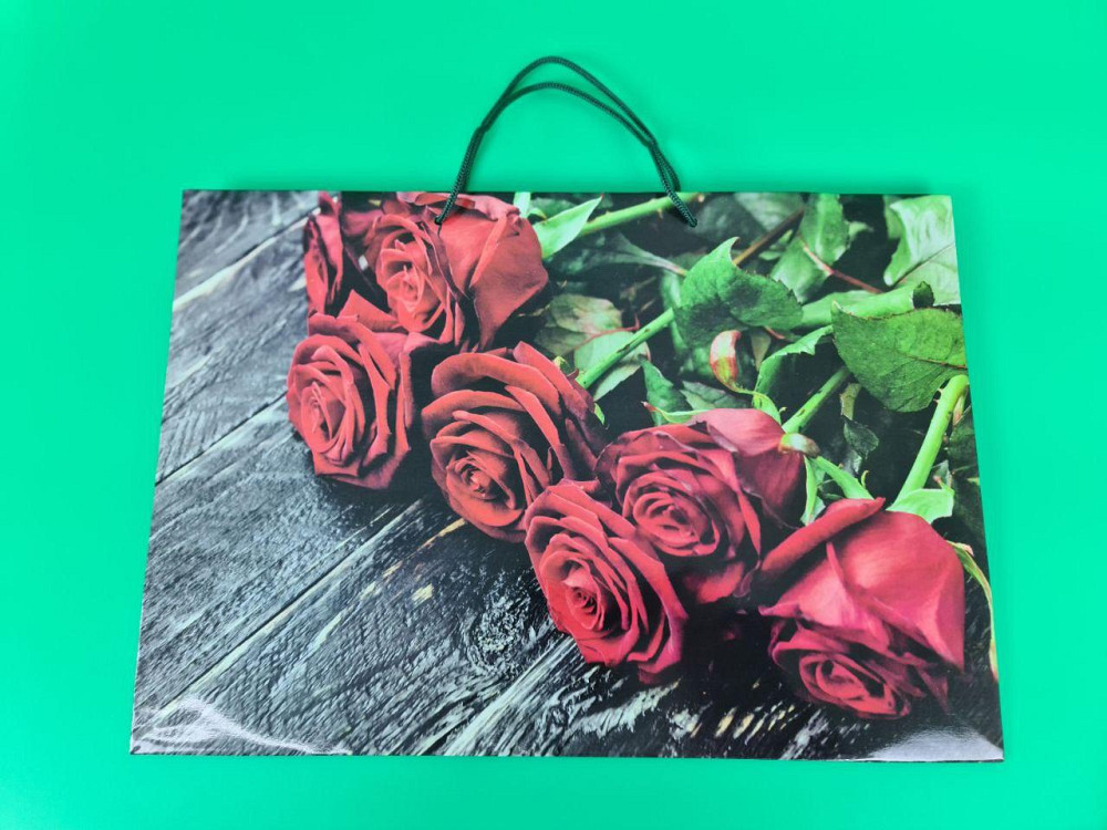 Паперовий пакет горизонтальний гігант 46*33*15 (артGG-069) (12 шт.) Харків - фото 4