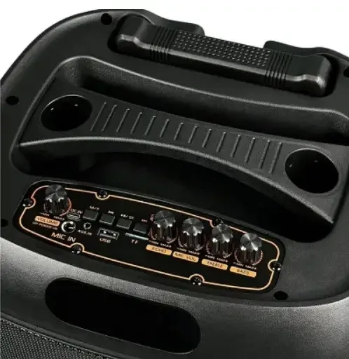 ZQS12148 Портативная Bluetooth колонка, 2 микрофона, пульт ДК, музыка дома и на улице Одесса - изображение 5