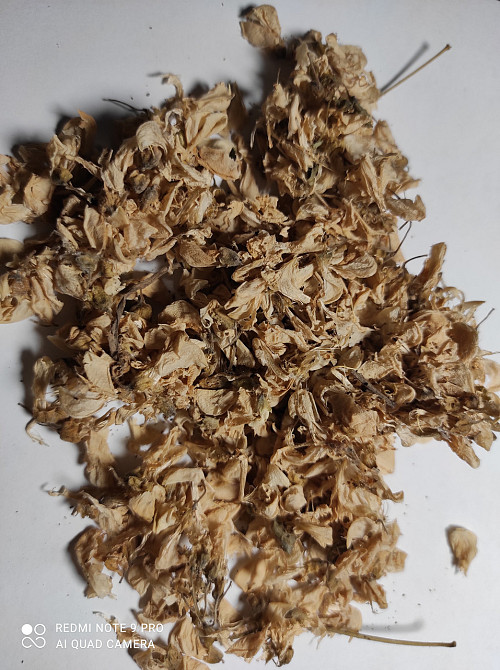 Цвіт акації білої (Цветки акации белой)100г, master sem Киев - изображение 1