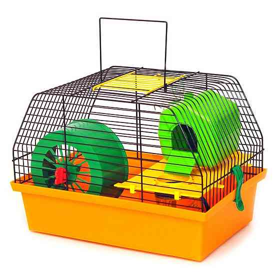 Металева клітка для малих грузунів Вілла Люкс 1 з аксесуарами (33.5 х 22.5 х 22.7 см), Лорі Київ