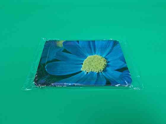 Тарілки святкові паперові 15 * 22 см "No18" Синя Ромашка 10 шт (1 пачка) Харків