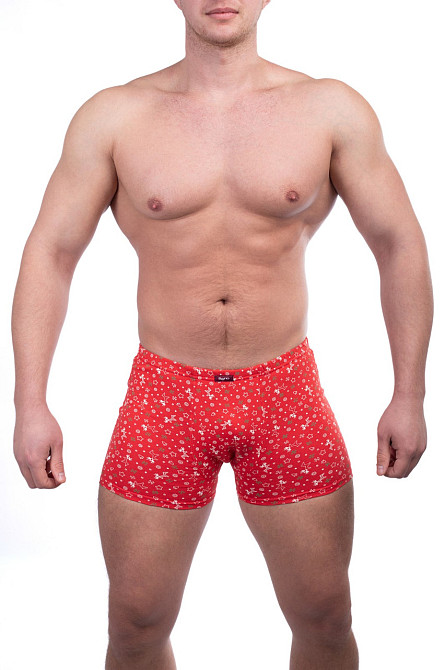 Трусы мужские шорты Bono 950323 50, Наушники Киев - изображение 4