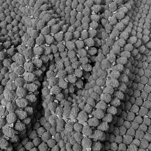 Килимок для ванної 55*80см Ананас срібно-сірий Дариана Житомир - фото 6