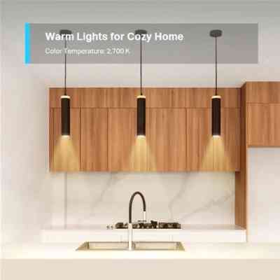 Розумна лампочка TP-Link Tapo L610 Wi-Fi (Tapo L610) Вінниця