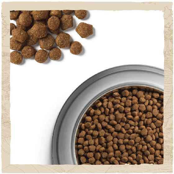 Сухий корм DOG CHOW Puppy  Київ