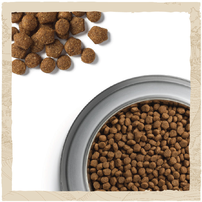 Сухий корм DOG CHOW Puppy  Київ - фото 4