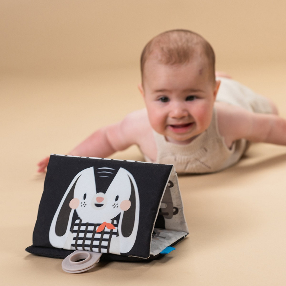 Подарунковий набір іграшок для новонародженого – Чорно-біла гармонія Днепр - изображение 10