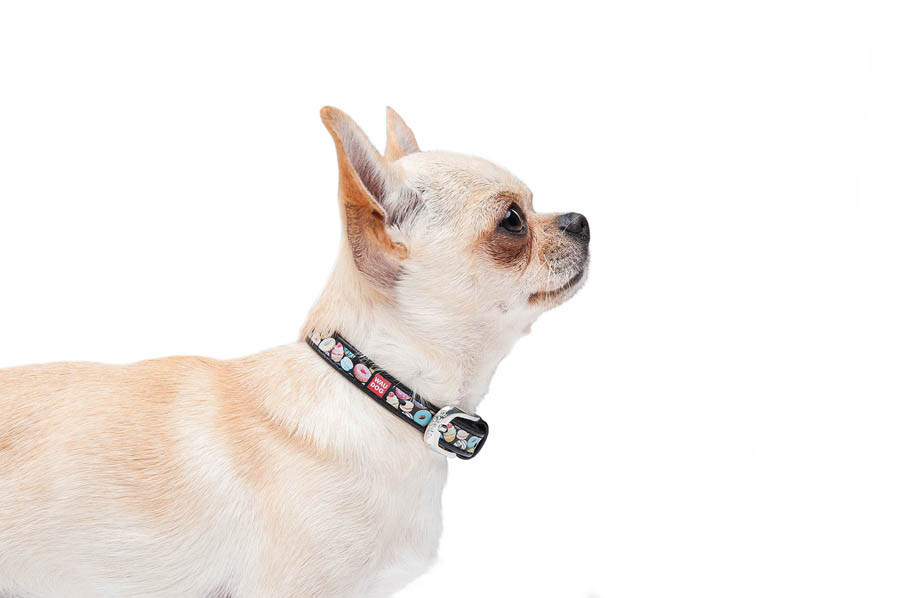 Нашийник для собак шкіряний WAUDOG Design з QR паспортом, малюнок "Пончики", Ш 12 мм, Д 18-24 см, чорний Вінниця - фото 4