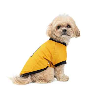 Футболка для тварин Pet Fashion Jessica XS жовта (4823082441297) Вінниця