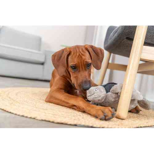 Игрушка Trixie для собак BE NORDIC Черепаха Хауке полиэстер/хлопок серый 34 см Винница