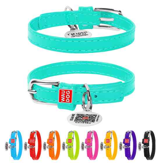 Нашийник для собак шкіряний WAUDOG Glamour з QR паспортом, без прикрас, XXS, Ш 9 мм, Дов 19-25 Коломыя