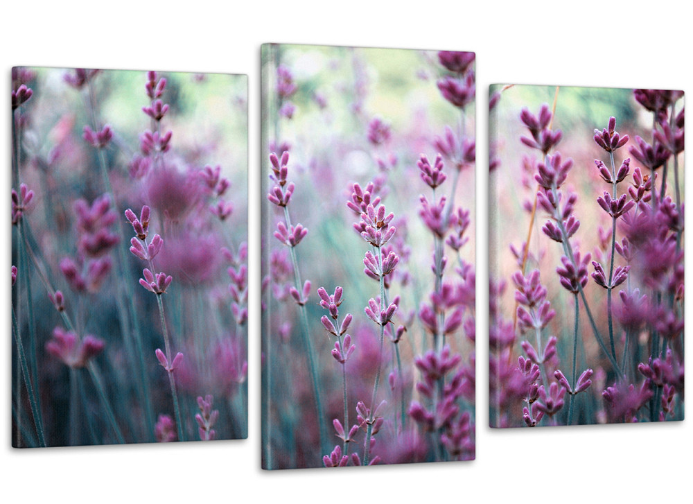 Модульная картина Природа Лаванда (53х100 см) Art-63_3 100x150 см Киев - изображение 1