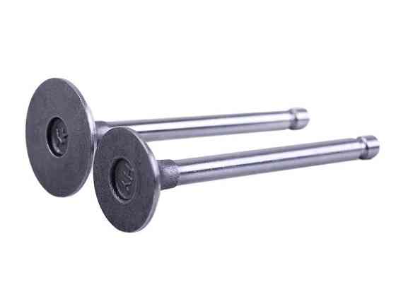 Клапаны   (пара, голые)  мотоблок  170D Мукачево