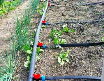 Кран стартовий з гумкою для стрічки крапельного поливу Дніпро