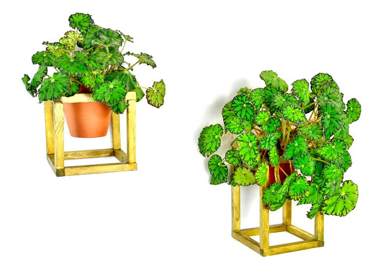 Полиця настінна для квітів "Орізонті model B" каррі Миколаїв - фото 2