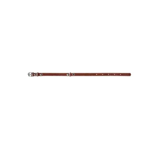 Нашийник CoLLaR одинарний (ширина 14мм, довжина 27-35см) коричневий Київ