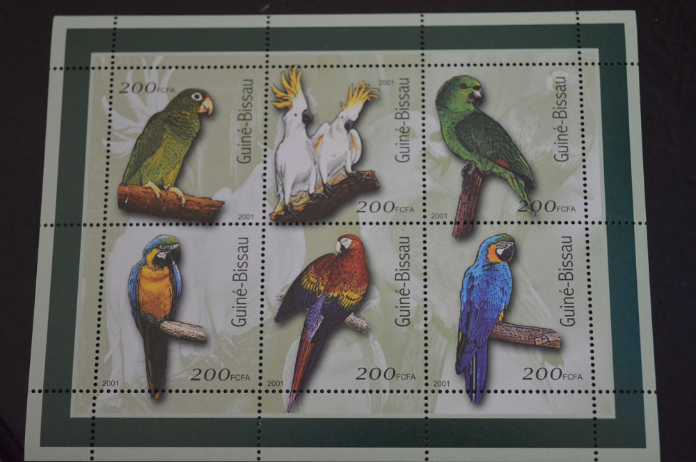 Гвинея. Фауна. Блок. 2015 год (В-7) Полтава - изображение 1