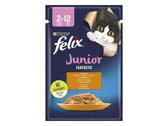 Пауч для кошенят Junior Fantastic / Курка в желе (FELIX) 85г ТМ PURINA Київ